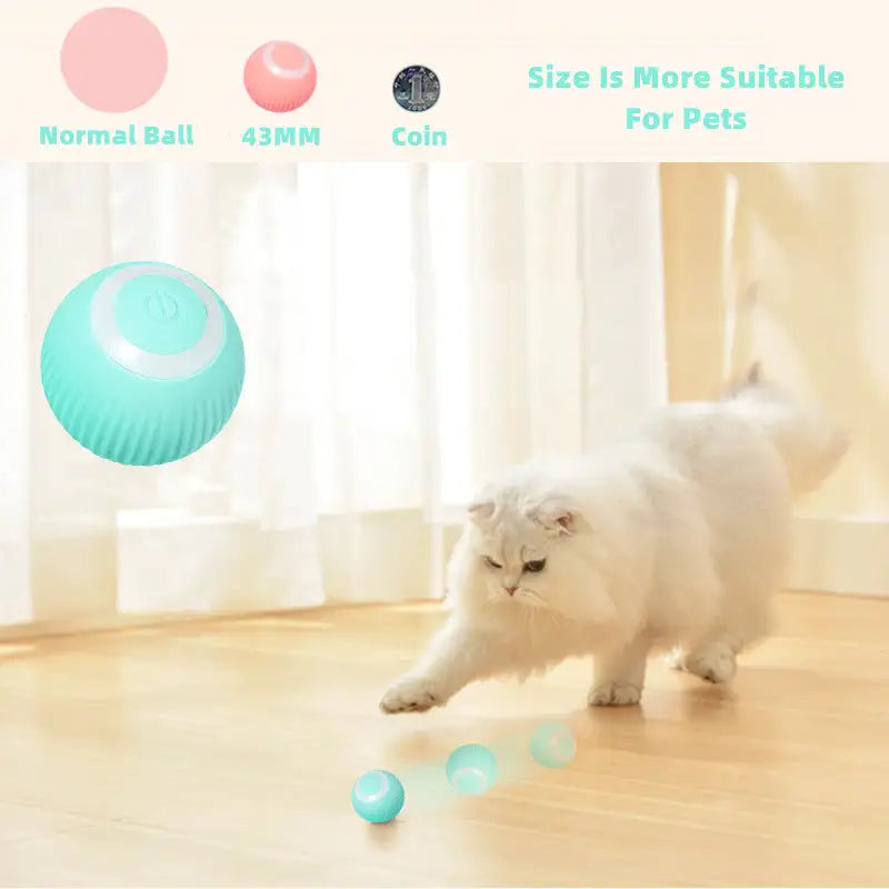 Jouets Balles Intelligents pour Chats